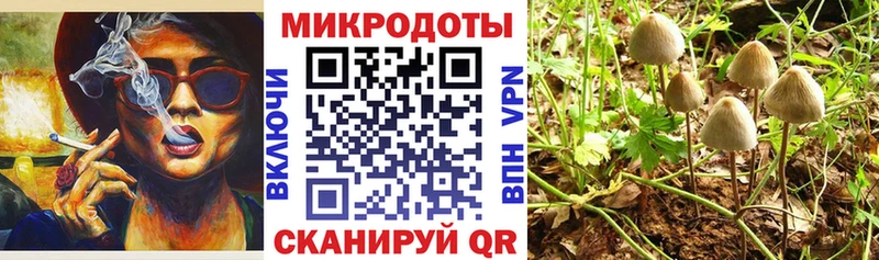дарк нет официальный сайт  Можга  Галлюциногенные грибы мицелий 