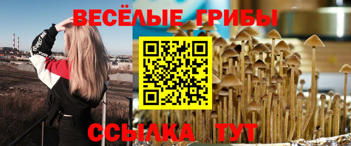 Галлюциногенные грибы ЛСД  Вход с VPN  Можга 