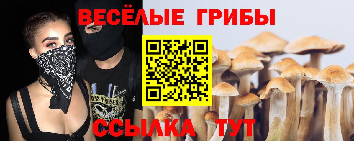 Галлюциногенные грибы Psilocybine cubensis Можга